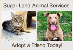 SL Animal Services