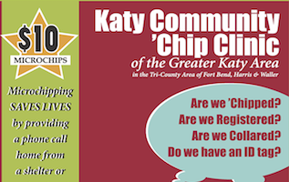 Katy Chip Clinic