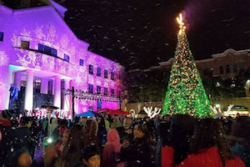 Christmas Tree Lighting