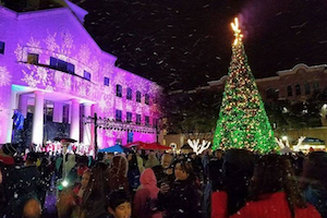 Christmas Tree Lighting