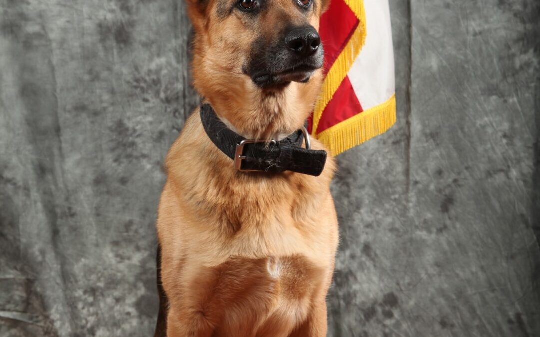 Richmond Police say goodbye to their loyal K9 Jackie.