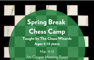 Spring Break Chess Camp | Sugar Land Connect