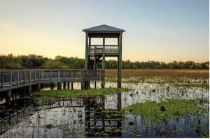 Cullinan Park